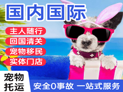 三沙航空空运国际宠物托运 【国